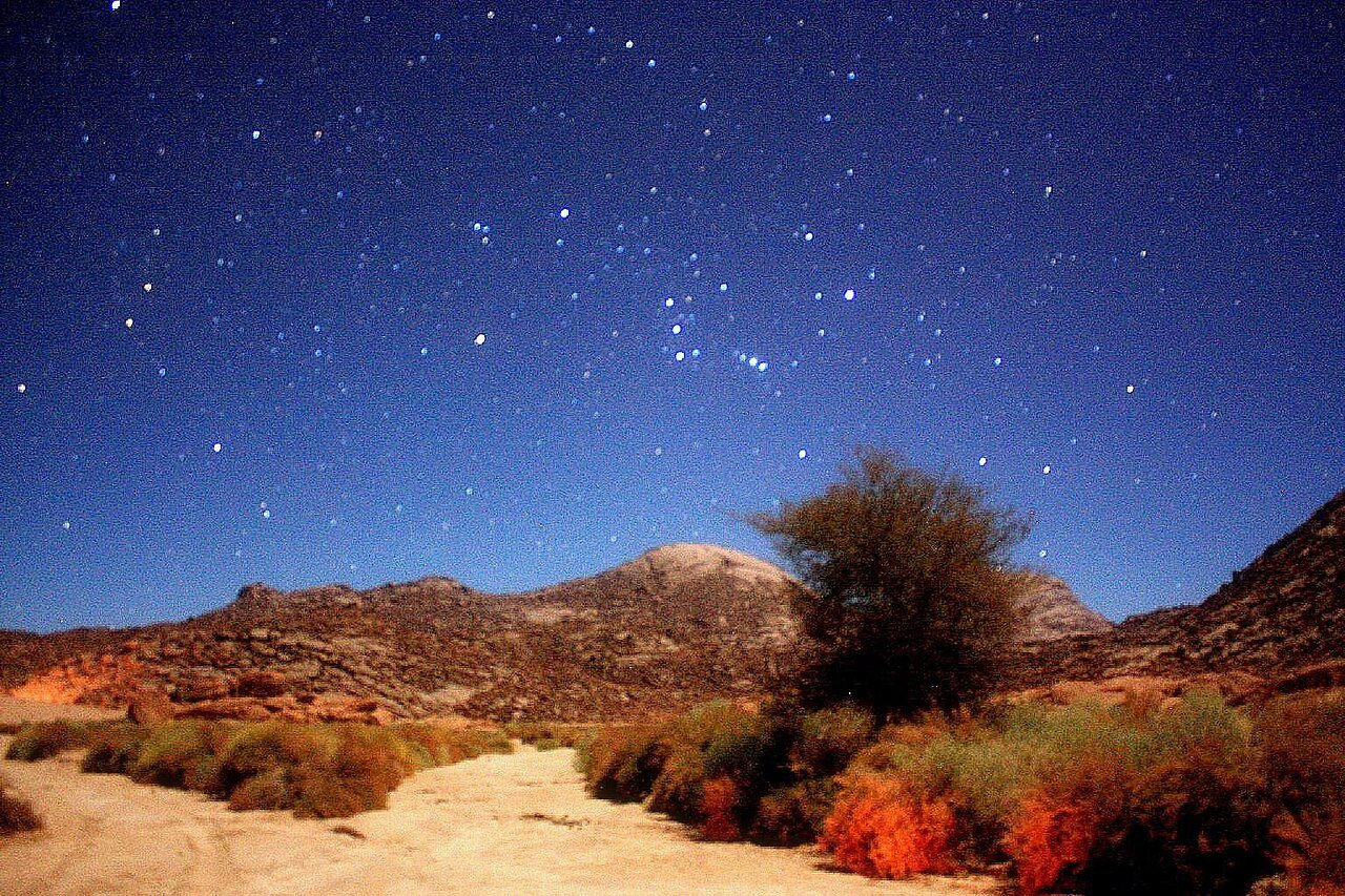 El desierto bajo un cielo estrellado por la noche