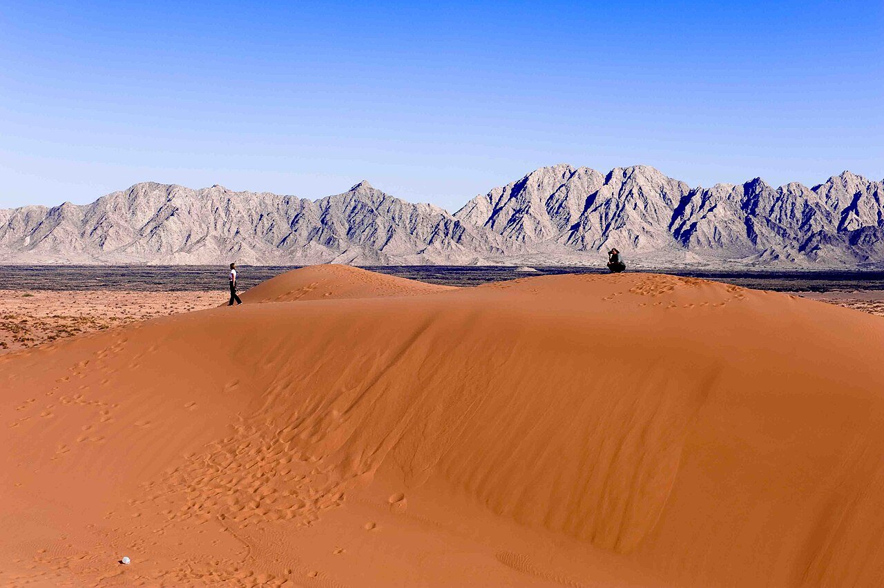 Paisaje del desierto de Sonora con vegetación característica