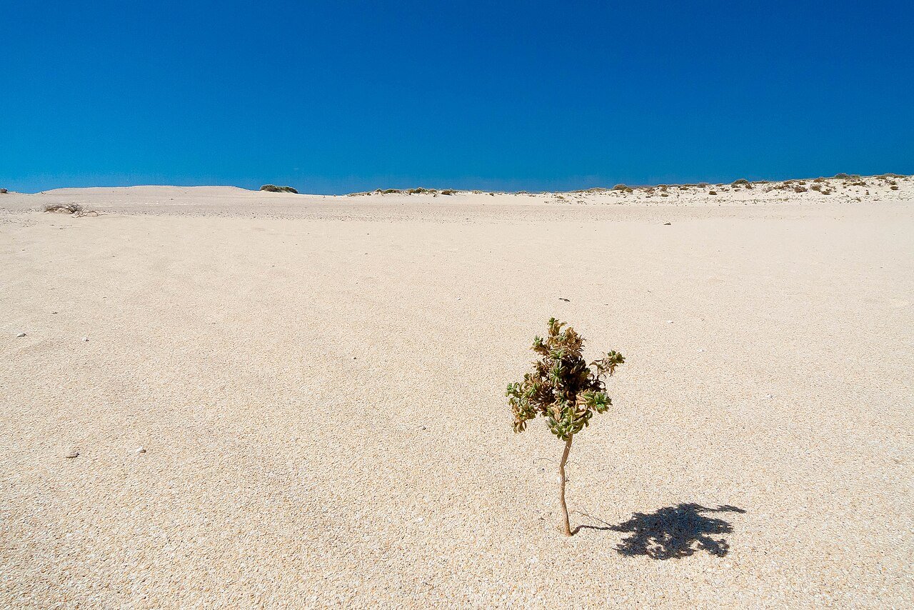 Dunas de Corralejo en Fuerteventura, Islas Canarias