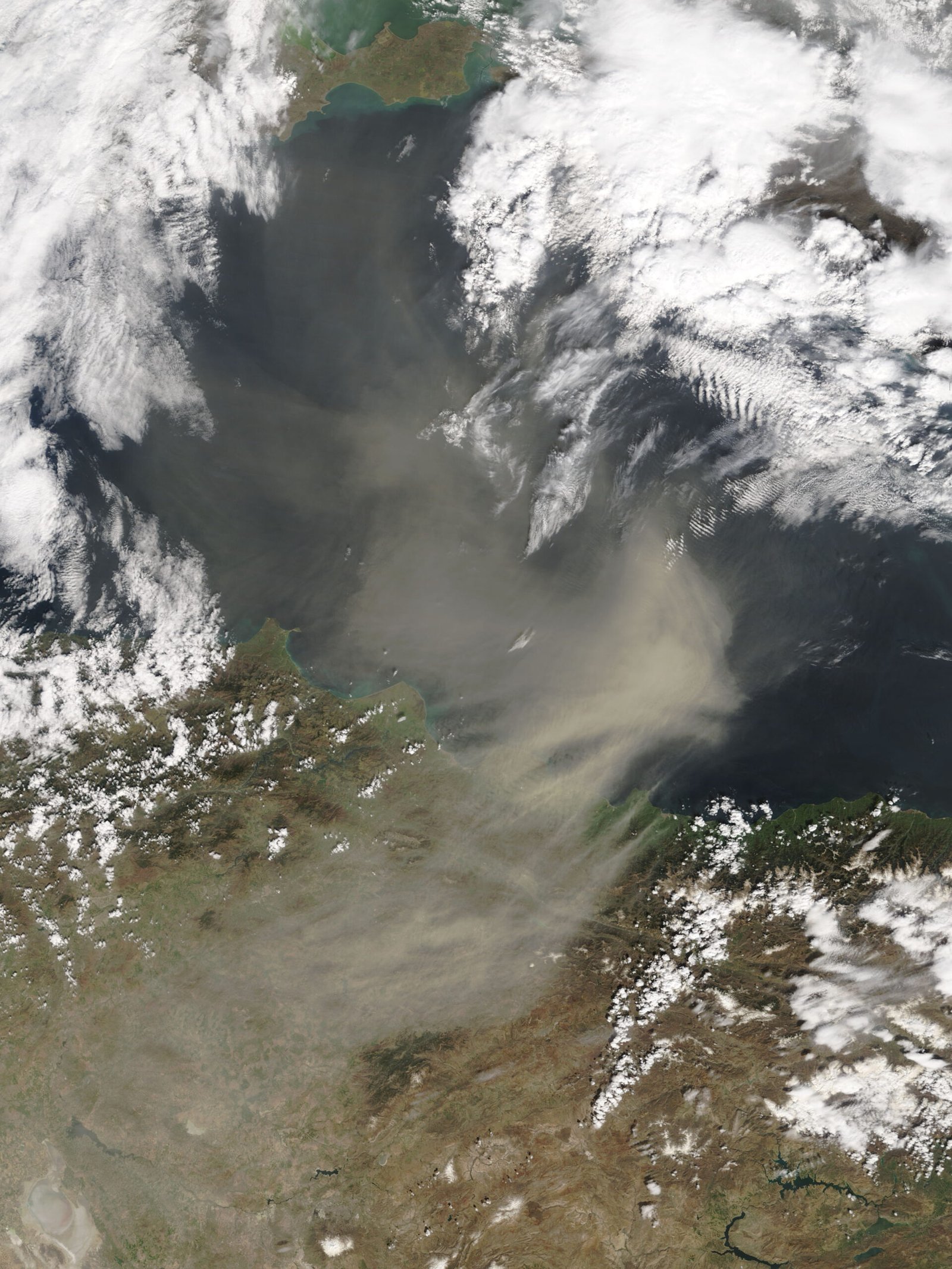 Tormenta de arena en el desierto
